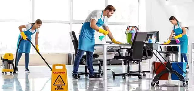 Bed Bug Control