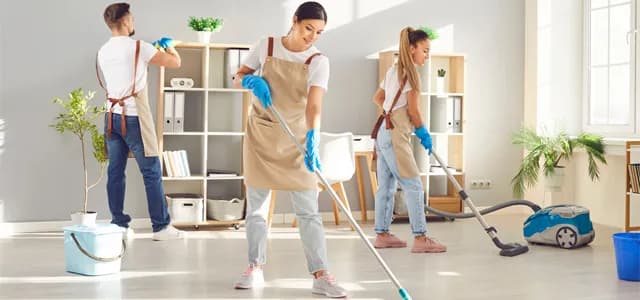 Bed Bug Control
