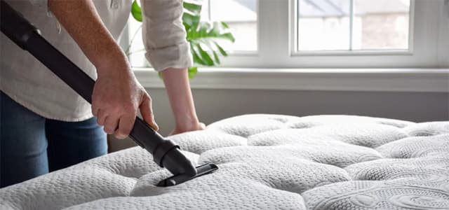 Bed Bug Control