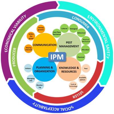 integrated pest management process plane in bangalore