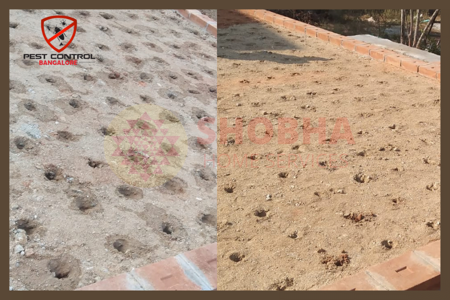 Anti termite treatment in bangalore